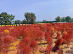 -汉长安城未央宫国家考古遗址公园