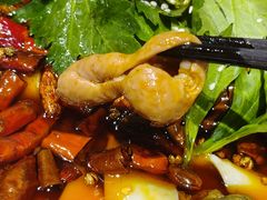 -晓彭肥肠鸡·泡椒鸡火锅(水木天地店)