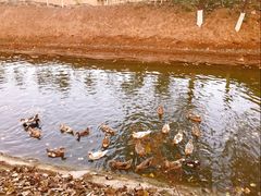 -东郊湿地公园