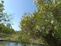 -白塘生态植物园