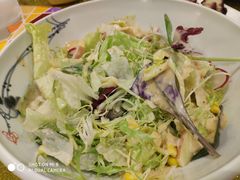 -大鸭梨烤鸭(左家庄店)