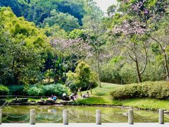 -火炉山森林公园