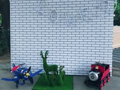 -枫花园汽车电影院(朝阳公园店)