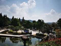 -南京银杏湖乐园