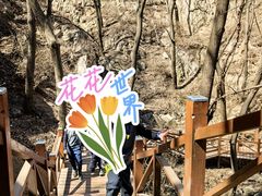 -大岭沟猕猴桃谷风景区