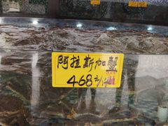 海鲜池-顺德了能馆(虎门店)