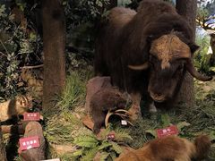 -陕西自然博物馆