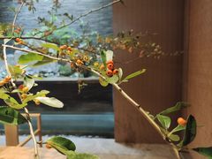 -南堂馆·新川菜(天府三街店)