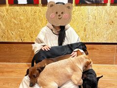-和它·交个朋友·狗咖猫咖(爱琴海店)