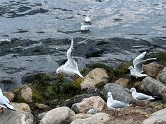 -大理洱海