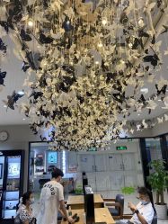 -京世沙龙