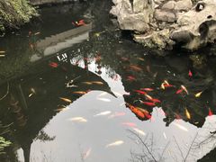 -茉酸奶(松江开元地中海店)