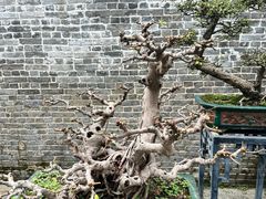 -陈家祠堂-游客中心