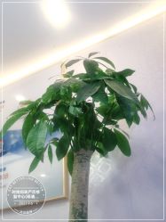 -时尚妈咪产后修复中心