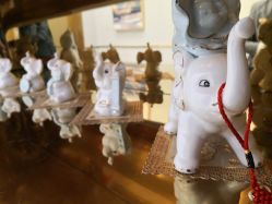 -CICI纤美·科技减肥美容