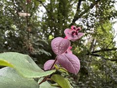 -上海吴淞炮台湾国家湿地公园