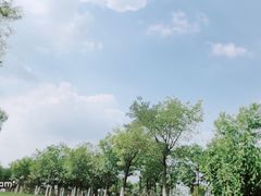 -天津东丽湖风景区