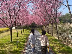 -福建鲤鱼洲酒店