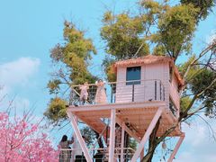 -福建鲤鱼洲酒店