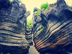 -梭布垭石林景区