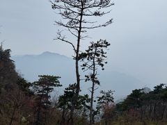 -沂蒙山旅游区云蒙景区(蒙山国家森林公园)
