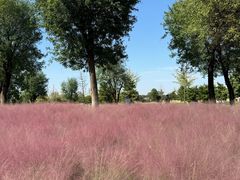 -汉长安城未央宫国家考古遗址公园