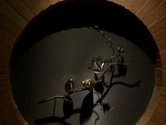 -Dragonfly悠庭·按摩Spa(新乐路店)