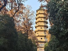 -灵谷景区
