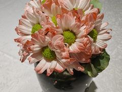 -唐宫·粤菜海鲜(新侨店)