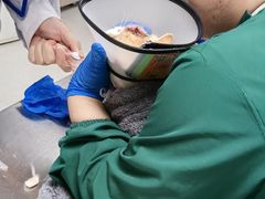 -畜牧兽医站(共江路店)