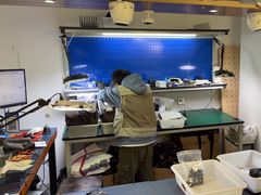 -兰拓相机租赁·维修·二手(上海店)