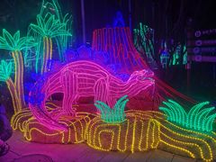 -南宫五洲植物乐园