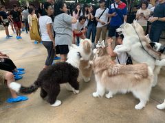 -TrueLove @ Neverland (Husky Cafe)