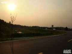 -鹤之洲湿地公园