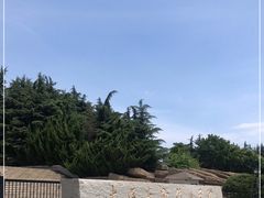 -大连东软信息学院(软件园校区)