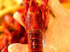 -靓靓蒸虾·头牌蒸虾(雪松路总店)