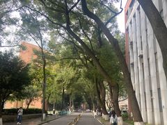 -四川大学(望江校区)