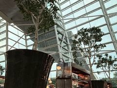 -RISE RESTAURANT(滨海湾金沙店)