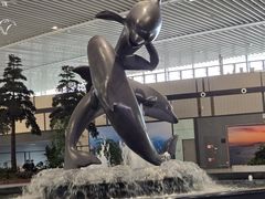 -青岛胶东国际机场