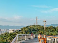-金鸡山公园