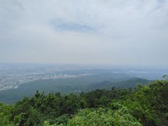 -紫金山山顶公园