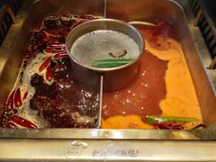 -九鼎轩脆毛肚火锅(商业街店)
