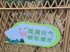 -云溪植物园