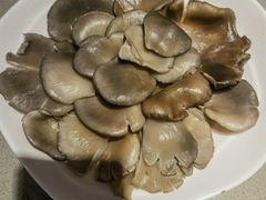 平菇-蝎王府羊蝎子(西直门店)