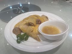 白切鸡-大东海海鲜酒楼(渔人码头总店)