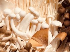 -鼎鼎香·港式火锅(北京SKP店)