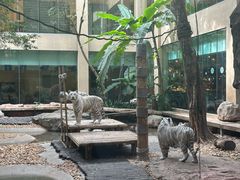 -麒麟中餐厅·经典粤菜·地道菜式老字号(广州长隆酒店)