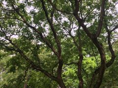 -玲珑塔公园