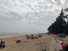 -贝壳沙滩