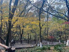 -天目湖山水园